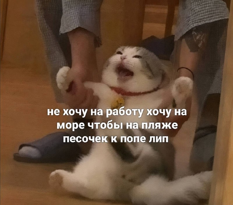 доброе утро