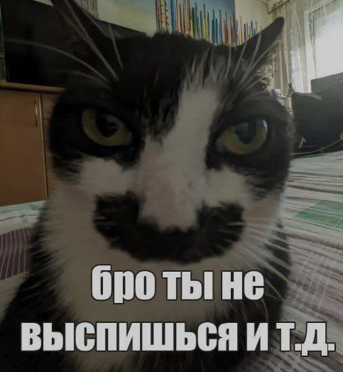 Ночная подборочка
Спать, режим