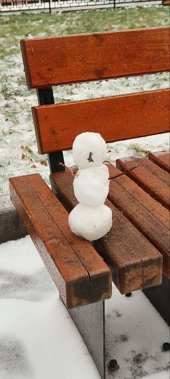 🥺На Крупской появился милый житель.