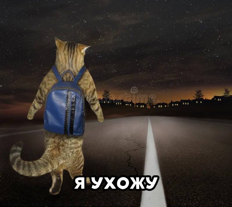 Моя адекватность, когда мне стало комфортно с человеком: