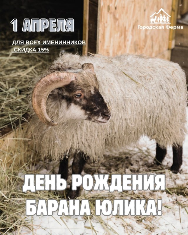 Оп, на Городской Ферме ВДНХ 1 апреля отметят день рождения барана Юлика!
В честь этого именинникам