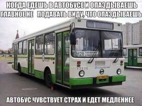 Утренняя подборочка
