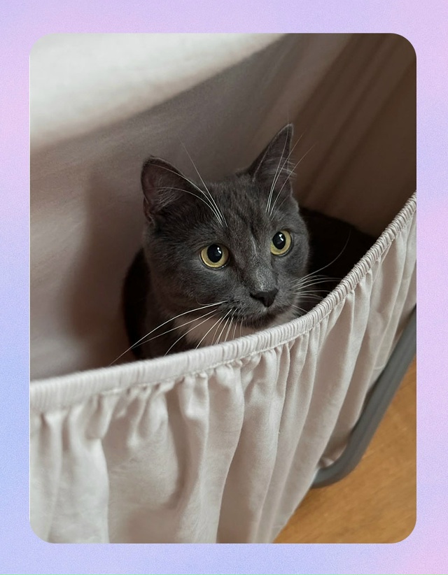 Люди, которые придумали этот замечательный лайфхак, ка...