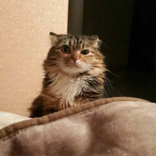 Что за странный вопрос
