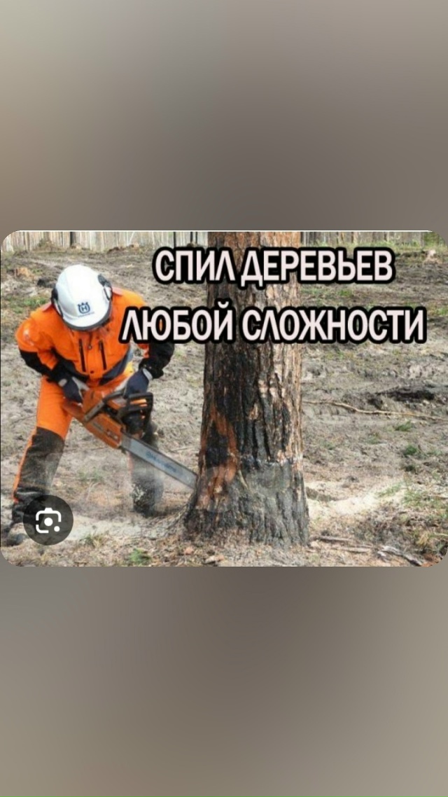 Спил деревьев любой сложности. 89109693256