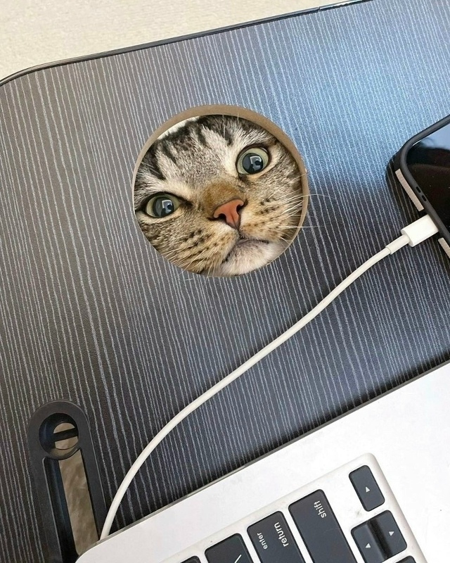 Если вы думали, что это отверстие в столе для проводов, ...