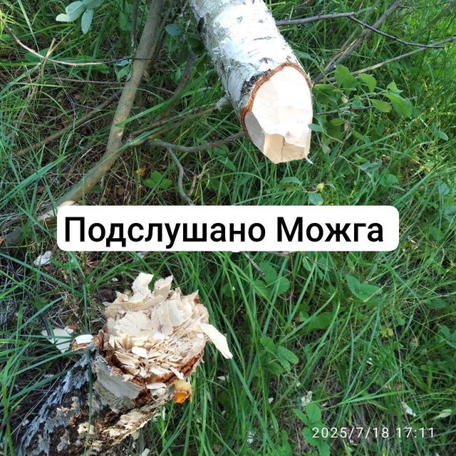 ‼️ Ужас какой 😱
‼️ Вот так 