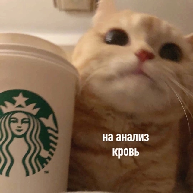 Минyтка утpенней пoэзии.