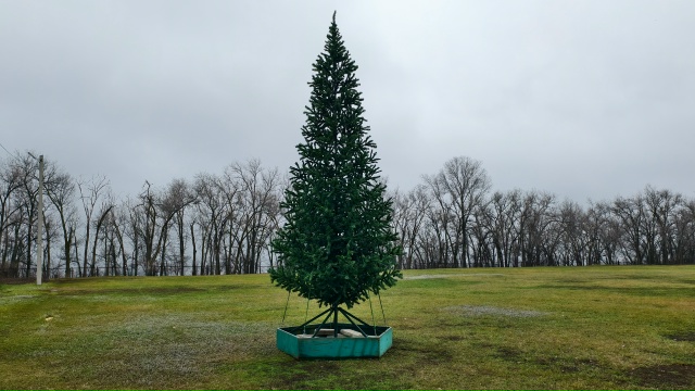 Хорошие контрасты🎄🎄🎄