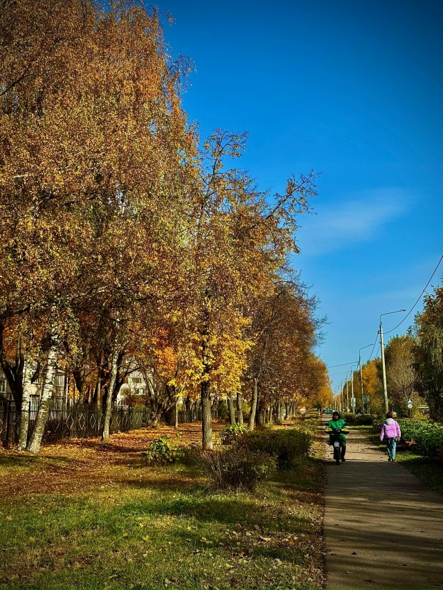Золотая осень в городе
