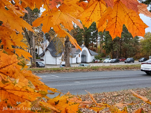 Красота в глазах смотрящего
Портпоселок 🍁🍂
Фотогра...