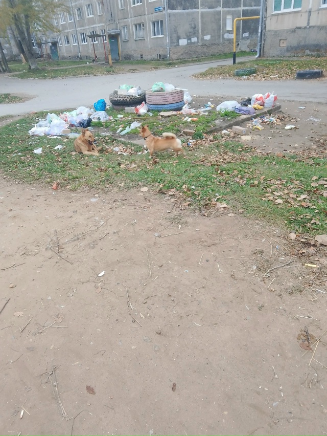 Админ пожалуйста опубликуйте ? это просто Пиз. ц , про?...