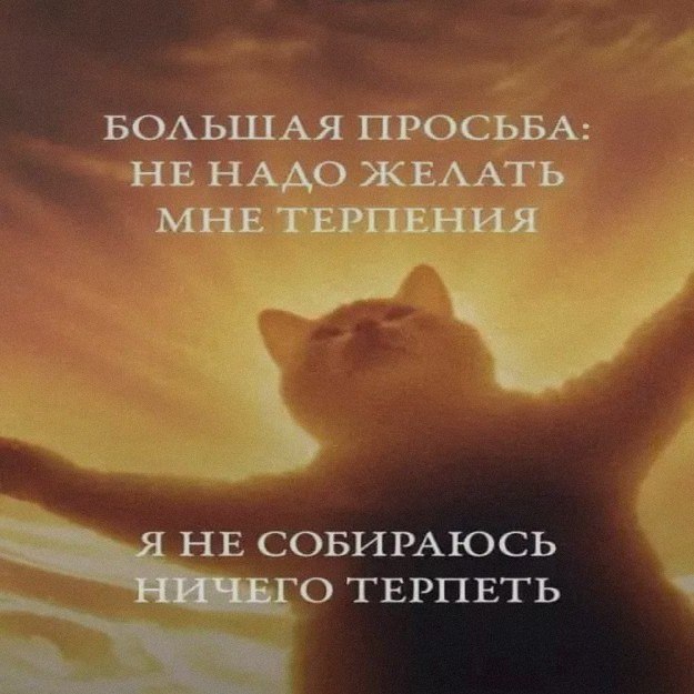 Ночная подборочка
Спать, режим