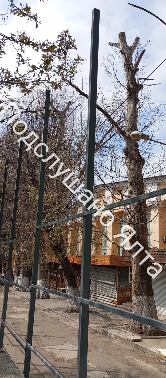 Бетон или зелень — что выберешь ты?
Вот интересно, нико...