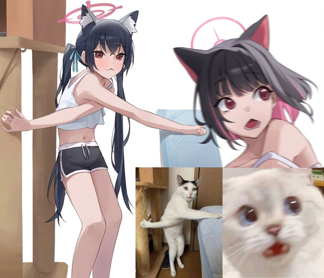 Как вам новая подборка?