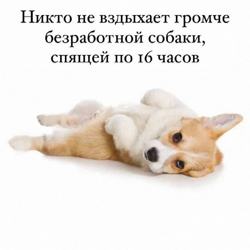 Утренняя подборочка