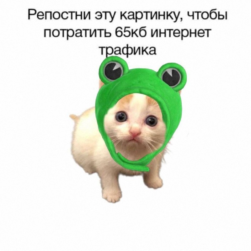 Утренняя подборочка
