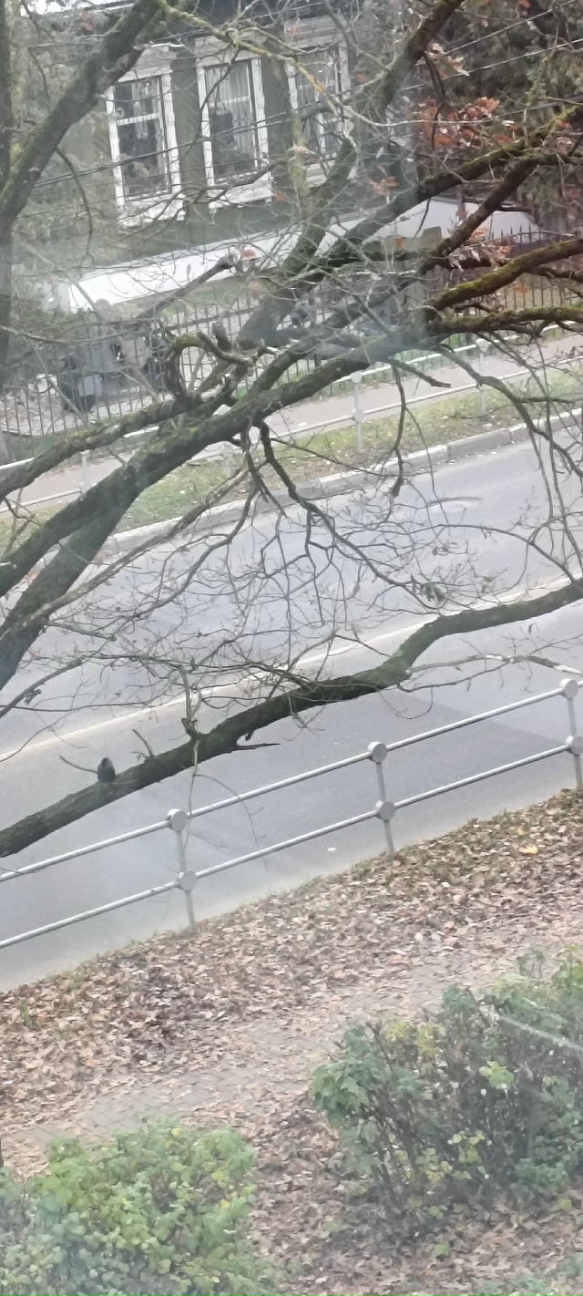 Очень печально смотреть на любимый город, нет в городе ...