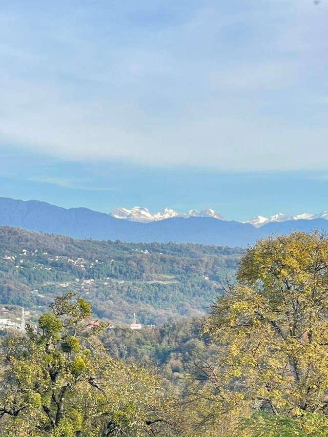 Сочинский нацпарк станет больше
Государство хочет сн?...