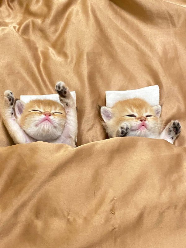 Наконец-то спотб :3