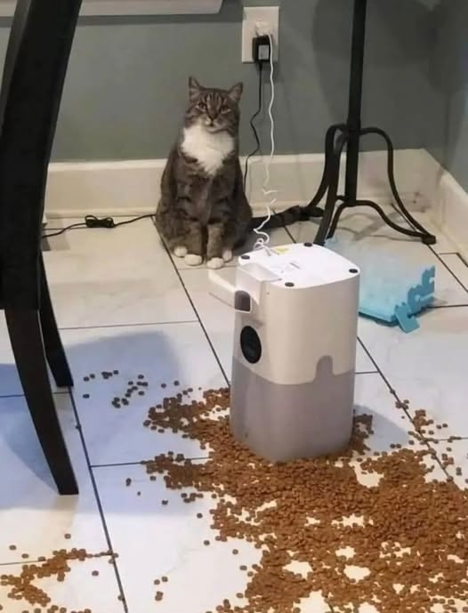 У вашей кормушки случился нервный срыв)))Я не при делах)