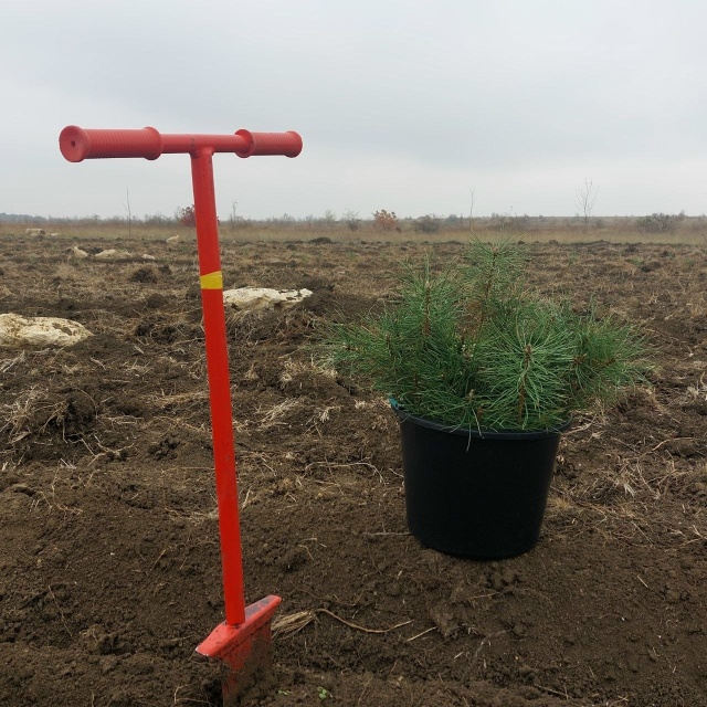 В Крыму продолжается Всероссийская акция «Сохраним ле...