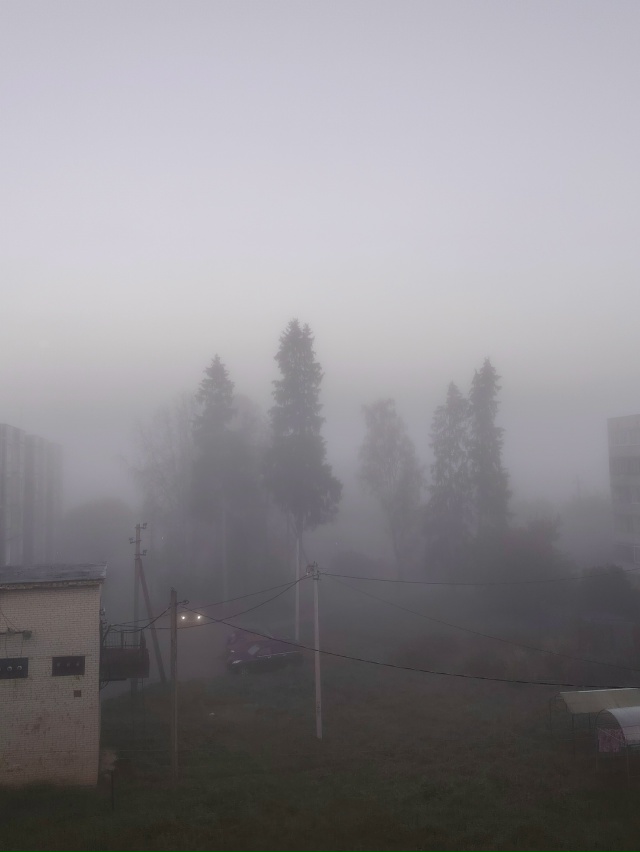 Вот и сегодня Ёжик сказал Медвежонку:
— Как всё-таки хо...