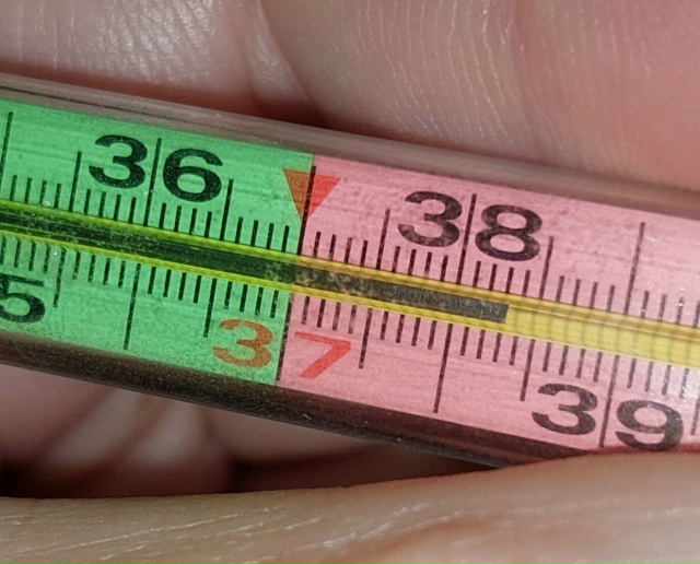 ❌ Количество заболевших ОРВИ и гриппом в Курской обла?...