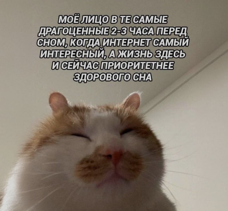 Ночная подборочка
Спать, режим