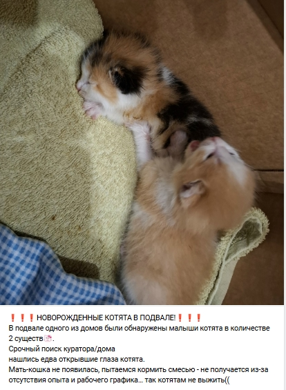 Пост добра. Распространите, пожалуйста.