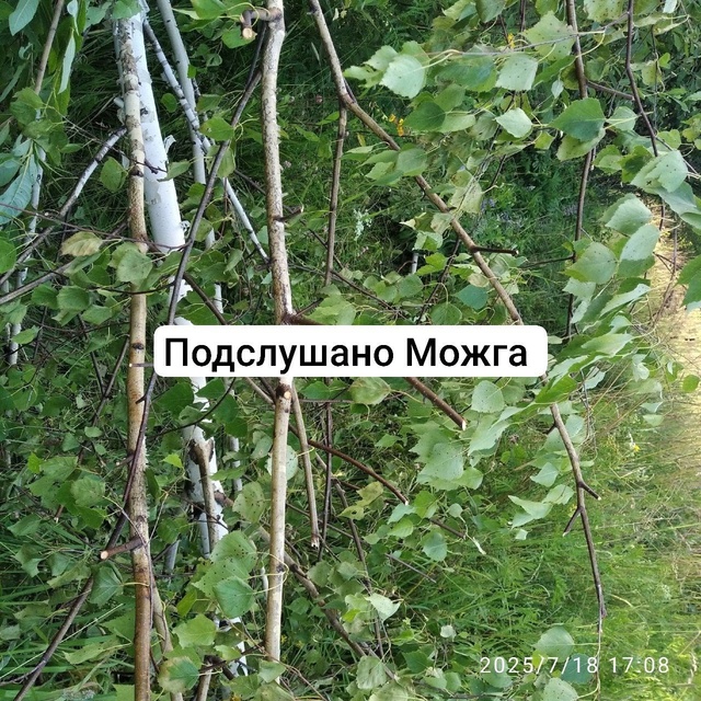 ‼️ Ужас какой 😱
‼️ Вот так 