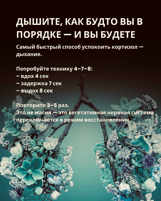 Простые советы