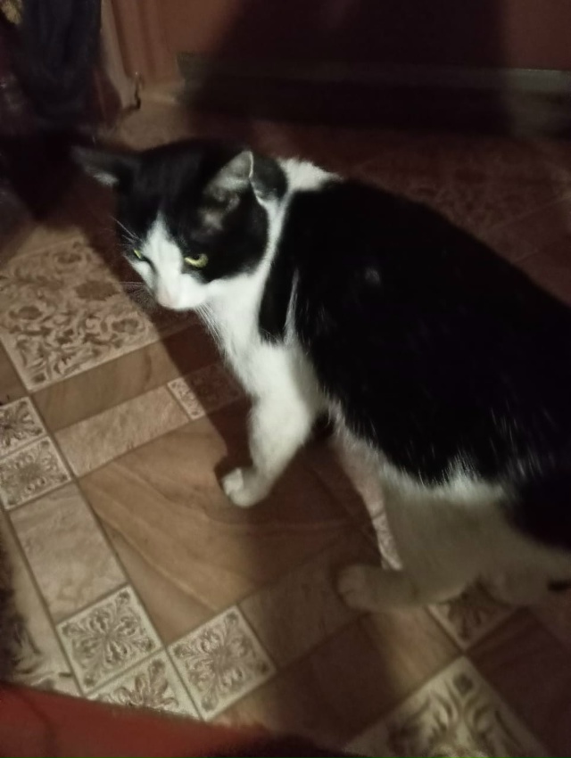 Переславль и Переславский район, давайте общими усили?...