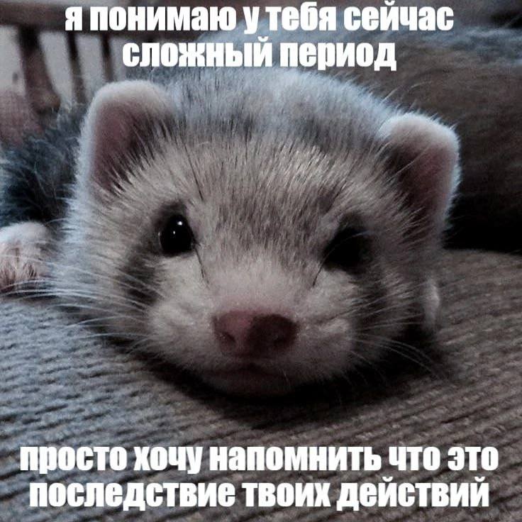 Утренняя подборочка