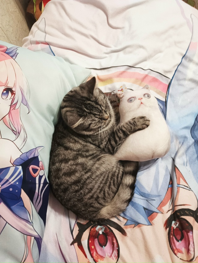 Фантик и его дама❤️