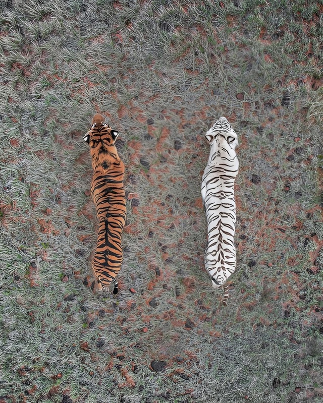 Гипнотические фотографии с дронов от автора Abstract Aerial Ar...