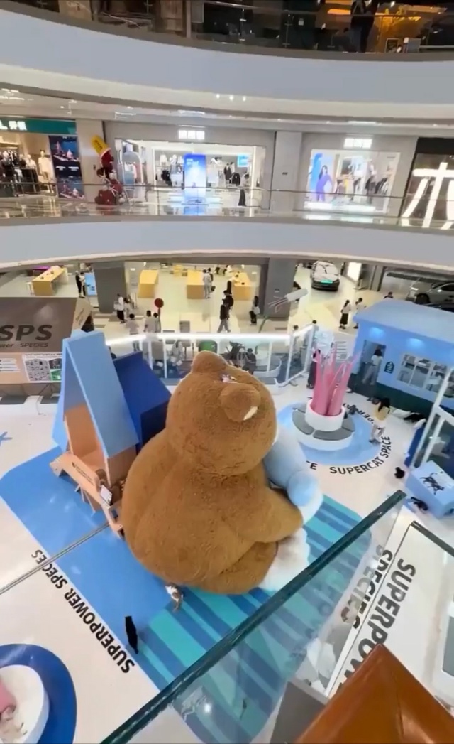 Стал новой звездой социальных сетей — в Китае кот забр...