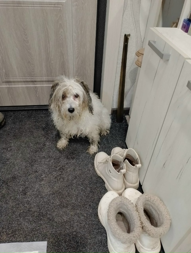 Чайковский Пермский край.
Чей мальчишка?
Выкинули ил...