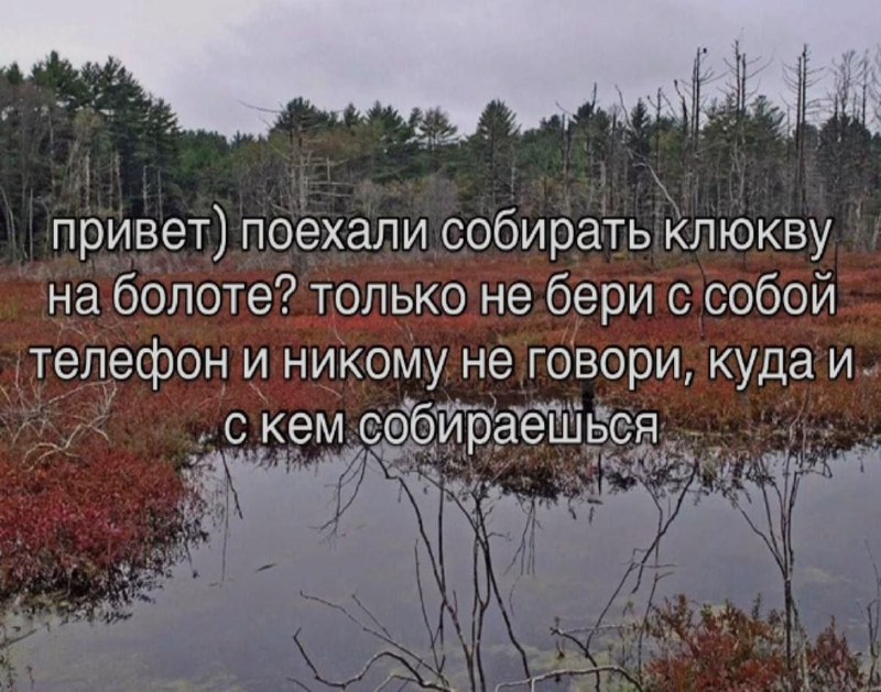 Ночная подборочка
Спать, режим