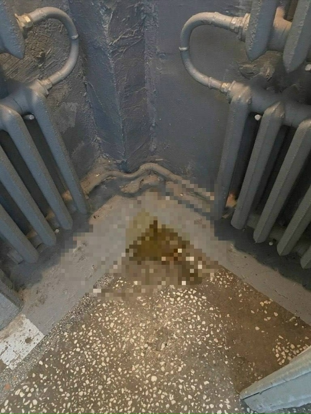 🕵‍♀ В Питере разыскивают «блондинку без тормозов»: у...