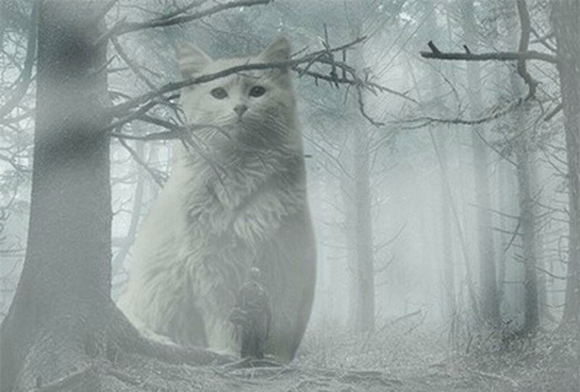 ❗️Первый декабрьский туман надвигается на Самарскую ...