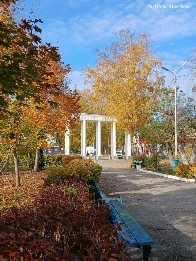 Городской парк.🍁🎡🎠
Октябрь.