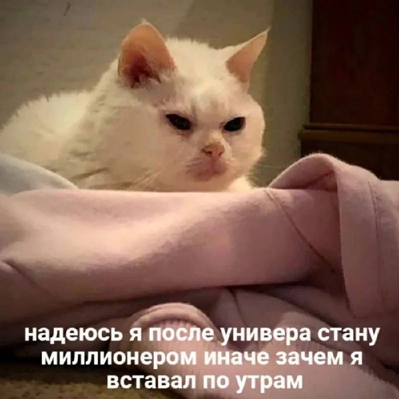 Утренняя подборочка