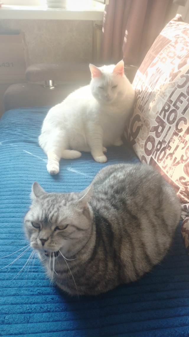 Наелись, напились, спать улеглись)