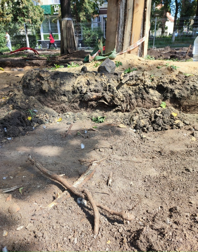 Все лето и осень в Воронеже во время ремонта бульвара К...