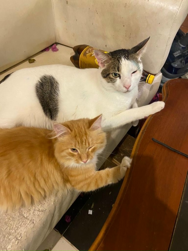 Батон и Валера. Композиция: Синхронизация)