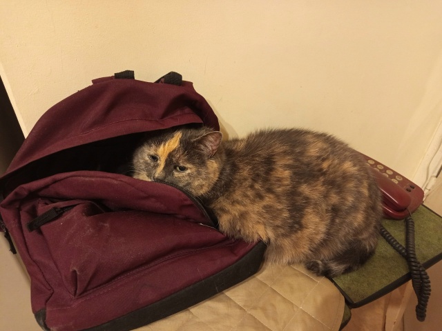 В путешествие с собой нужно брать самое важное. Наприм?...