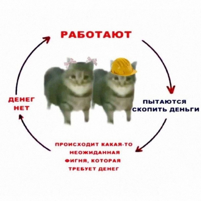 Утренняя подборочка