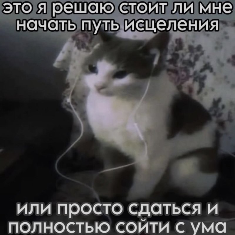 Ночная подборочка
Спать, режим