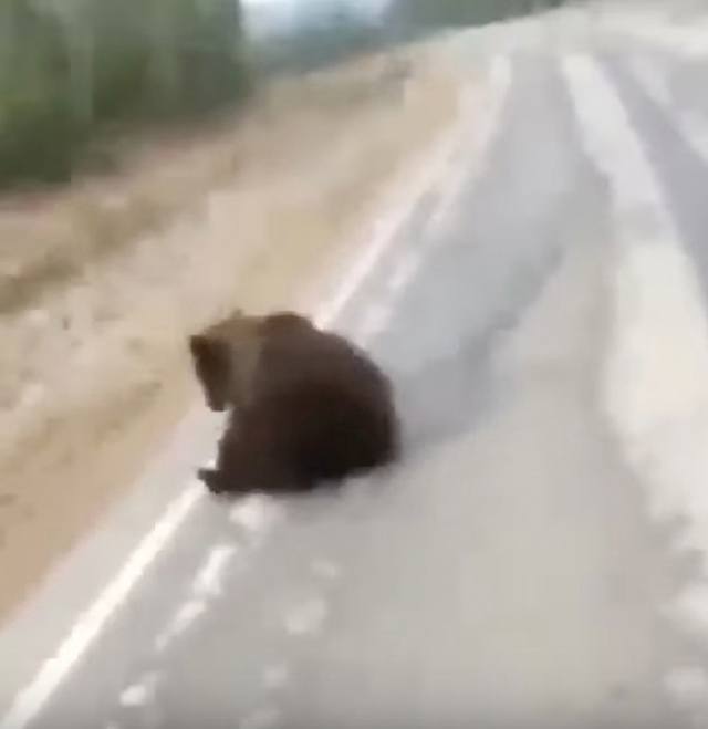В Якутии произошёл неожиданный инцидент на одной из ав...